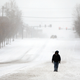 Illustration for article titled Sabres Game Postponed Due To Being In Buffalo